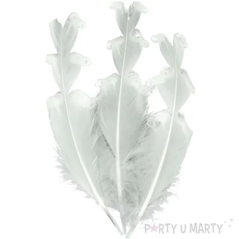 piorka dekoracyjne zakrecone biale aliga 20 cm 12 szt