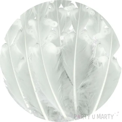 piorka dekoracyjne zakrecone biale aliga 20 cm 12 szt