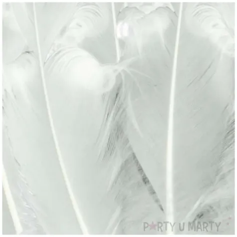 piorka dekoracyjne zakrecone biale aliga 20 cm 12 szt