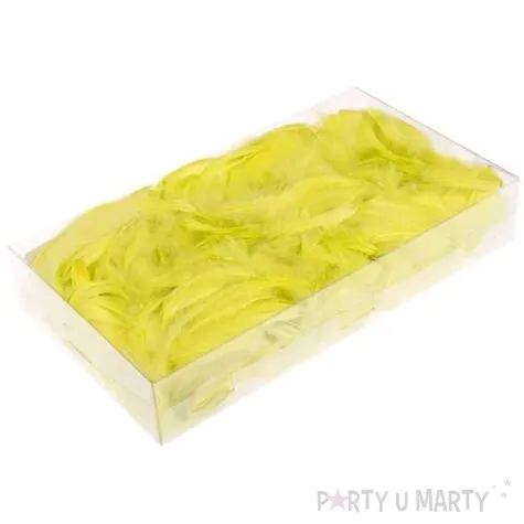 piorka dekoracyjne zielone jabluszko pudelko