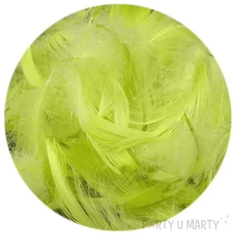 piorka dekoracyjne zielone jabluszko woreczek