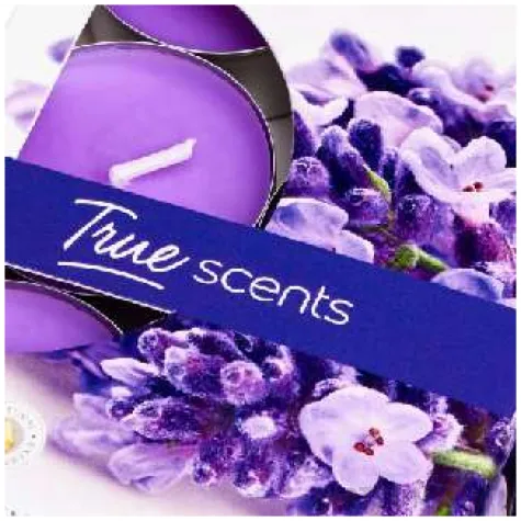 podgrzewacz zapachowy lawenda true scents fioletowy bolsius 38 mm 6 szt