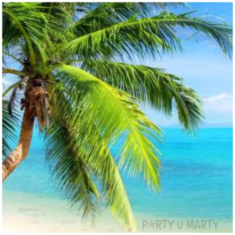 podkladki drewniane palmy 6 szt