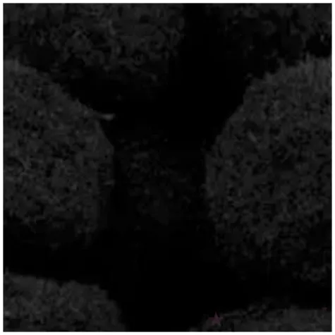 pompony pluszowe classic czarne aliga 15 50 mm 80 szt