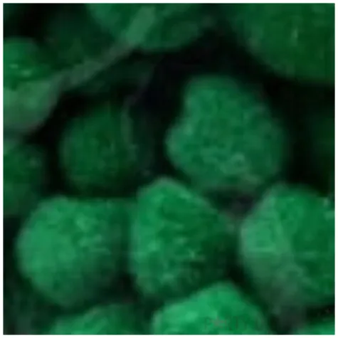 pompony pluszowe classic zielone aliga 15 50 mm 80 szt