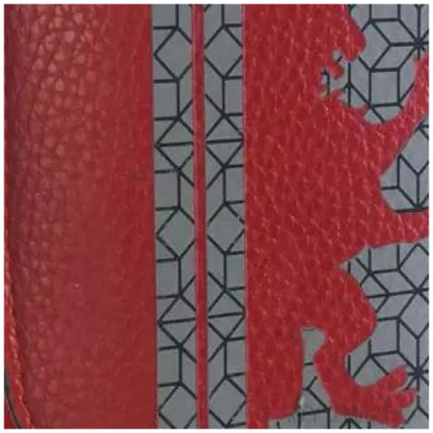 portfel harry potter gryffindor cerda