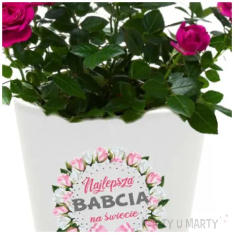 prezent na dzien babci doniczka na kwiaty z nadrukiem najlepsza babcia na swiecie bialy 10 cm