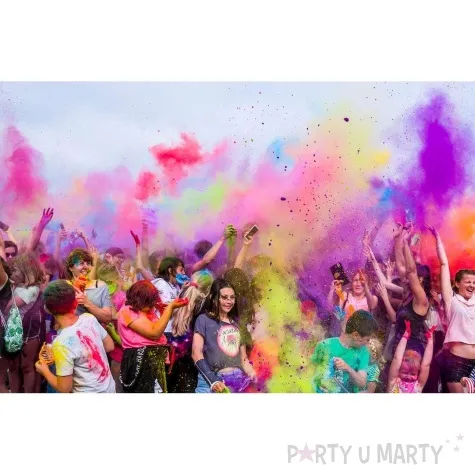 proszek holi fioletowy kolory holi 70 g