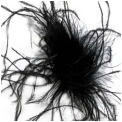 przypinka piorka czarne godan 10 szt