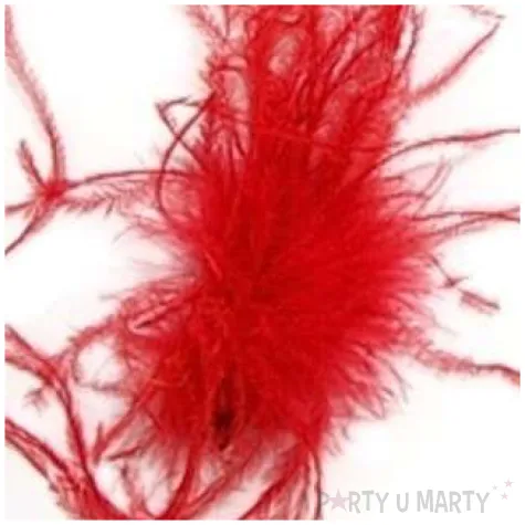 przypinka piorka czerwone godan 10 szt