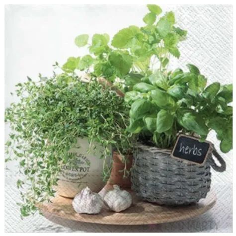 serwetki aromat ziol paw 33 cm 20 szt