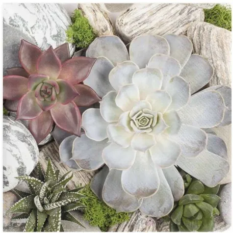 serwetki biale sukulenty maki 33 cm 20 szt