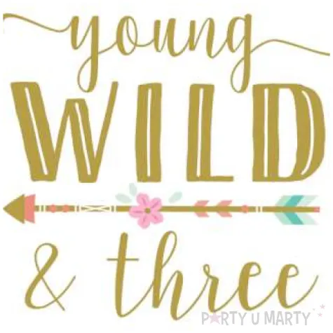 serwetki boho young wild and three urodziny 3 amscan 33 cm 16 szt