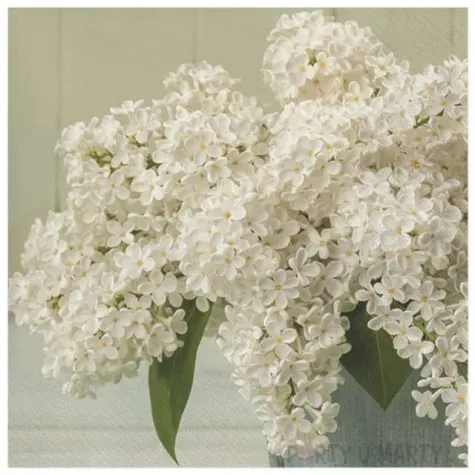 serwetki bukiet bialej lilii maki 33 cm 20 szt