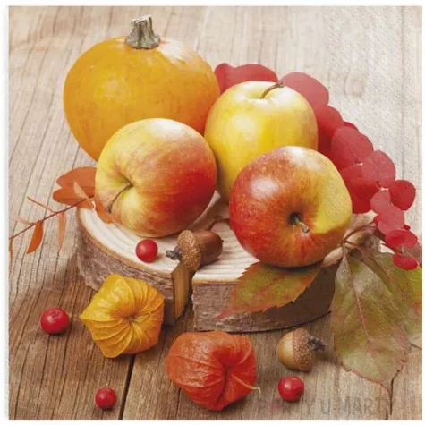 serwetki dynie i jablka maki 33 cm 20 szt