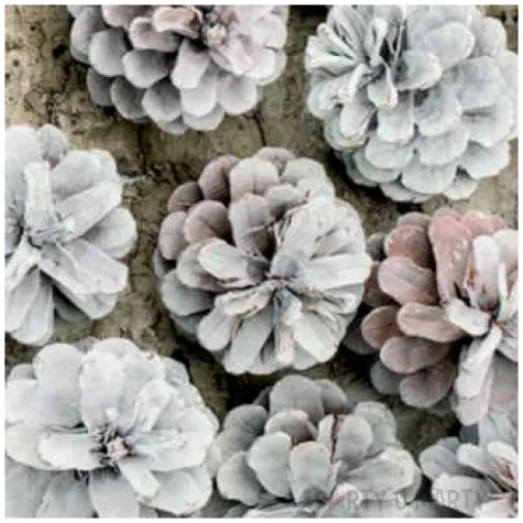 serwetki ekologiczne szyszki maki 33 cm 20 szt