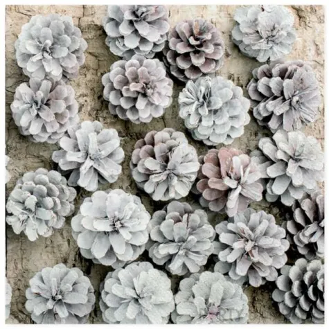 serwetki ekologiczne szyszki maki 33 cm 20 szt