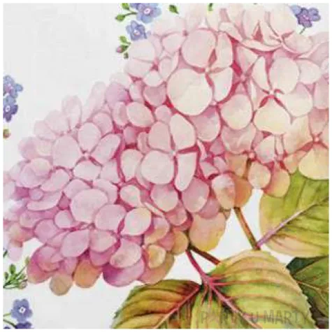 serwetki hortensje i niezapominajki rozowe maki 33 cm 20 szt