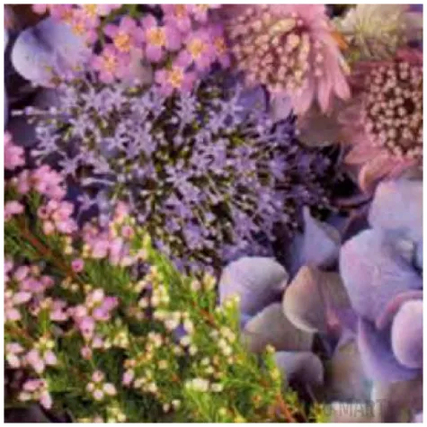 serwetki jesienne fioletowe kwiaty maki 33 cm 20 szt