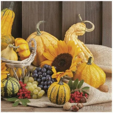 serwetki jesienne owoce maki 33 cm 20 szt