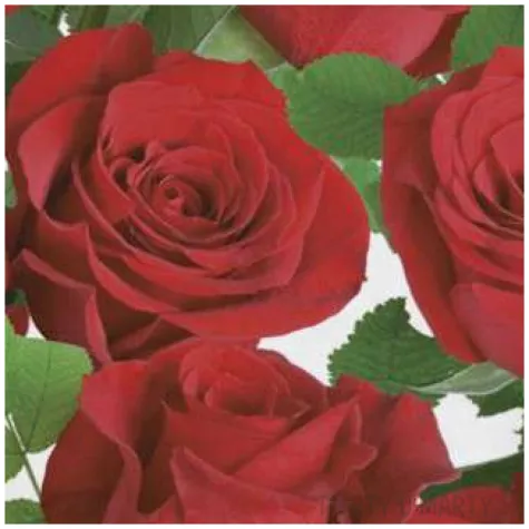 serwetki klasyczne czerwone roze maki 33 cm 20 szt