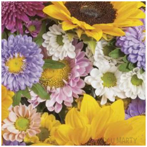 serwetki kolorowe letnie kwiaty maki 33 cm 20 szt