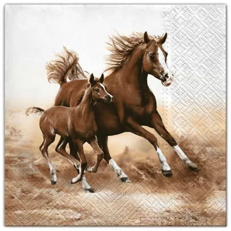 serwetki konie w galopie maki 33 cm 20 szt