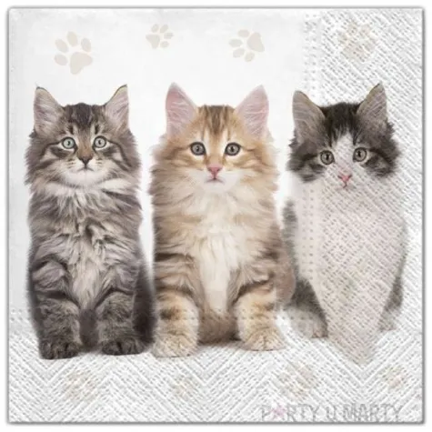 serwetki kotki trzy maki 33 cm 20 szt