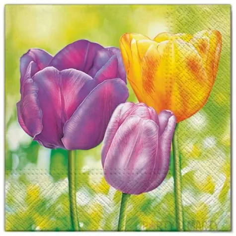 serwetki kwiaty 3 tulipany maki 33 cm 20 szt