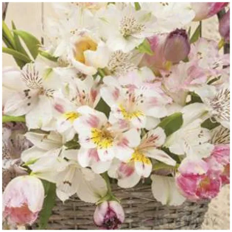 serwetki kwiaty bukiet bialo rozowy maki 33 cm 20 szt