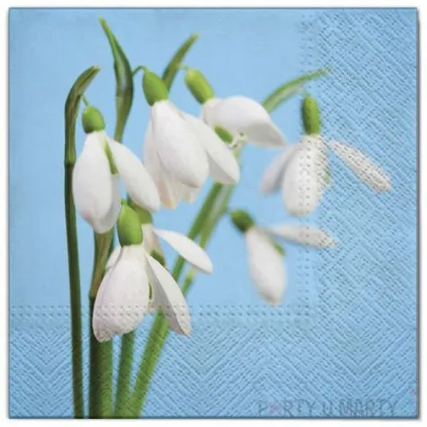 serwetki kwiaty przebisniegi maki 33 cm 20 szt