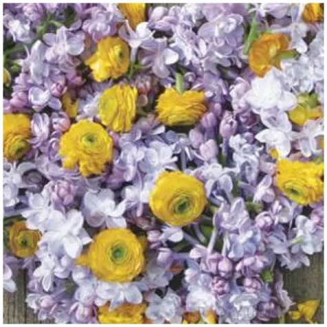 serwetki kwiaty serce maki 33 cm 20 szt