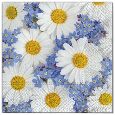 serwetki kwiaty stokrotki maki 33 cm 20 szt