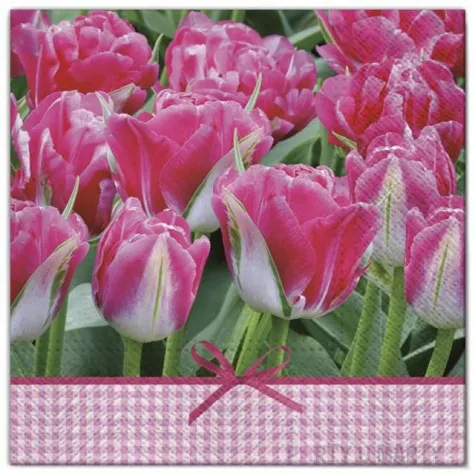 serwetki kwiaty tulipany fuksja maki 33 cm 20 szt