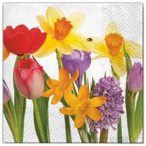 serwetki kwiaty zonkile i roze maki 33 cm 20 szt