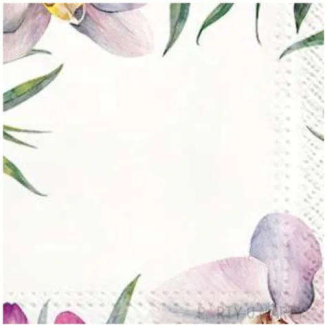 serwetki kwitnaca orchidea paw 33 cm 20 szt