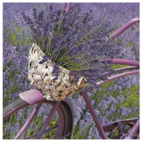 serwetki lawendowy rower maki 33 cm 20 szt