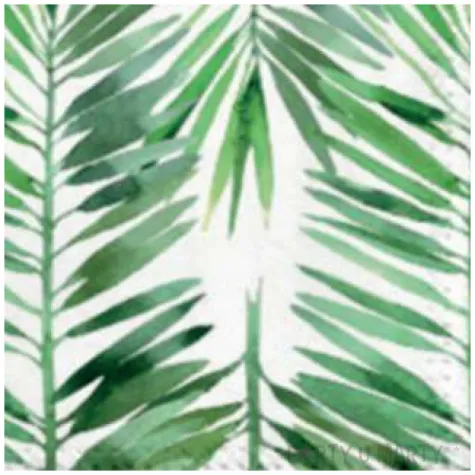 serwetki liscie palmowe paw 33 cm 20 szt