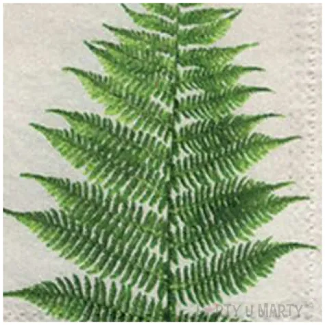 serwetki liscie paproci paw 33 cm 20 szt