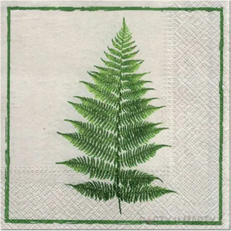 serwetki liscie paproci paw 33 cm 20 szt