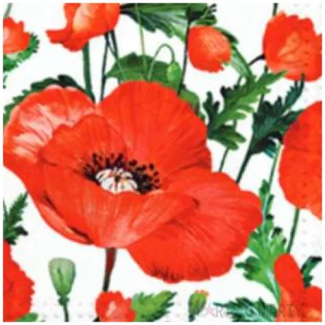 serwetki maki z lodygami paw 33 cm 20 szt