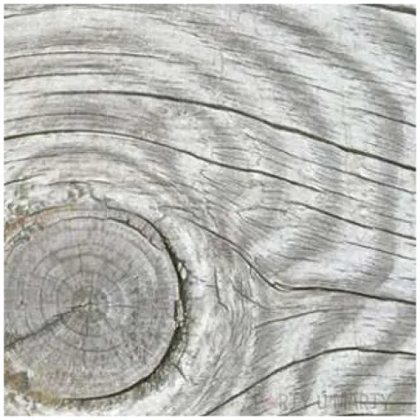 serwetki naturalne drewno szare maki 33 cm 20 szt