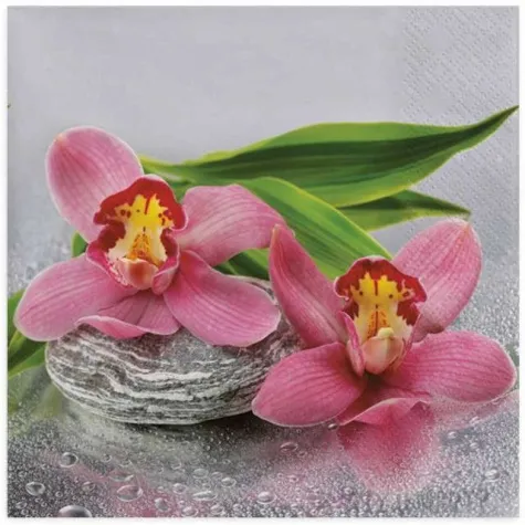 serwetki orchidea na kamieniu maki 33 cm 20 szt