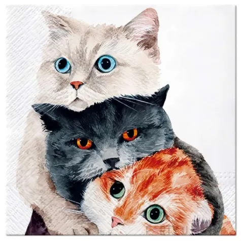 serwetki papierowe trzy koty paw 33 cm 20 szt