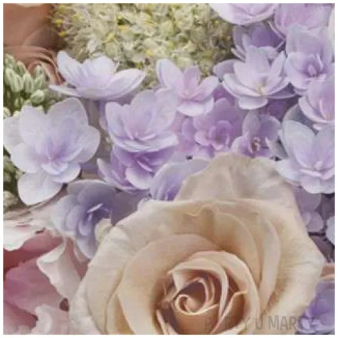 serwetki pastelowe letnie kwiaty maki 33 cm 20 szt