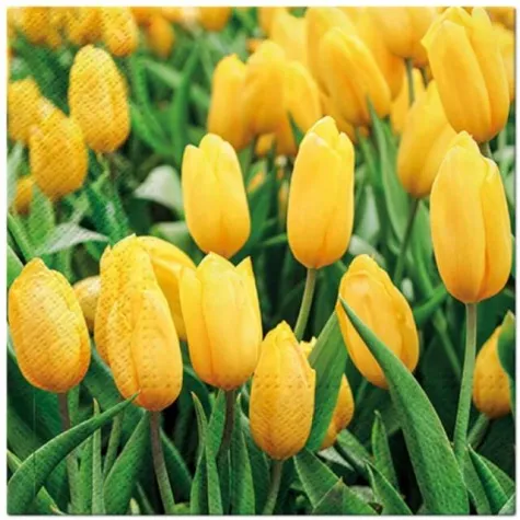 serwetki piekne tulipany paw 33 cm 20 szt