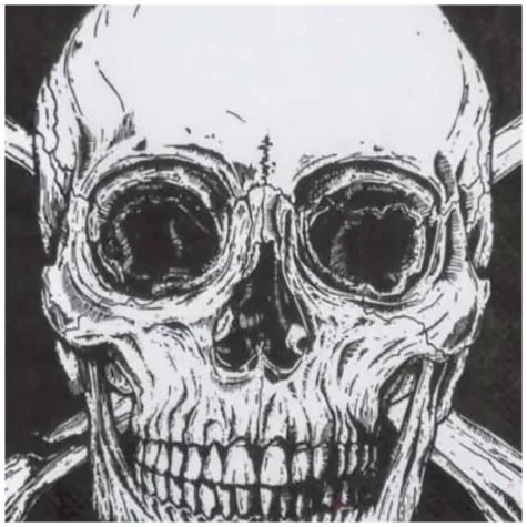 serwetki piracka czaszka boland 33 cm 10 szt