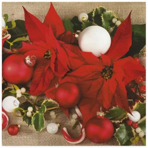 serwetki poinsecje i jemiola maki 33 cm 20 szt