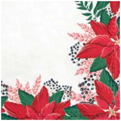 serwetki ramka z poinsecji paw 33 cm 20 szt