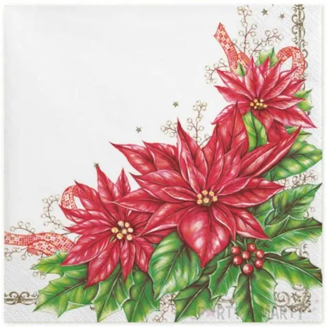 serwetki ramka z poinsencja maki 33 cm 20 szt